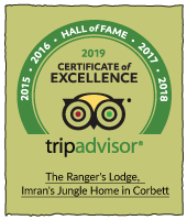 Congratulations: You’re eligible for the Hall of Fame - TripAdvisor Excellence Certificate 2019