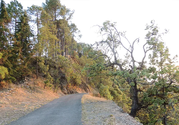 Cultural Village Walks and Himalayan Foothill Paths