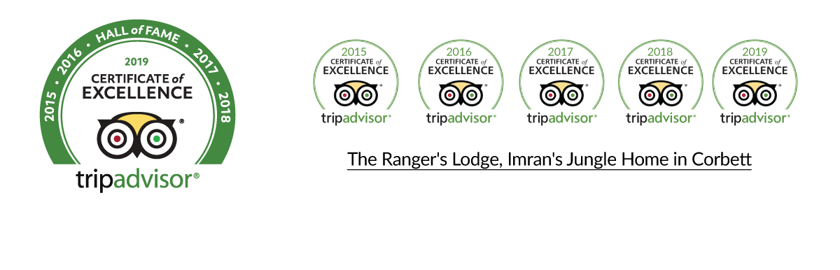 consecutive 5 years winner of TripAdvisor Excellence Certificate