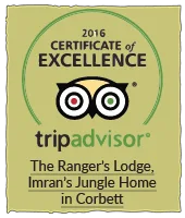 TripAdvisor 2016 Certificate of Excellence