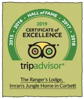 TripAdvisor 2019 Certificate of Excellence Hall of Fame