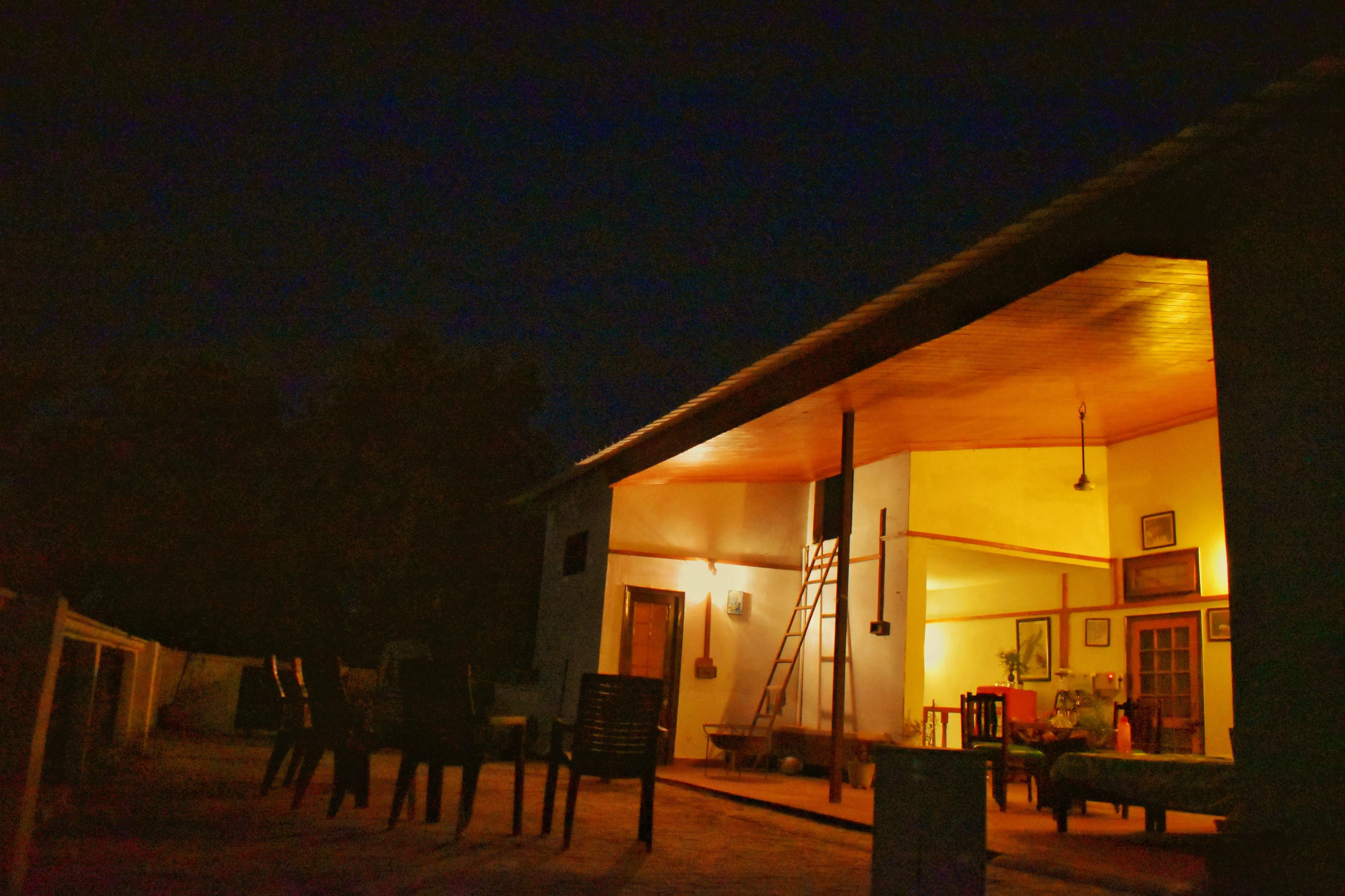 Nocturnal Jungle Ambience - Starlit Corbett Sky & Roosting Owls in the Cedars